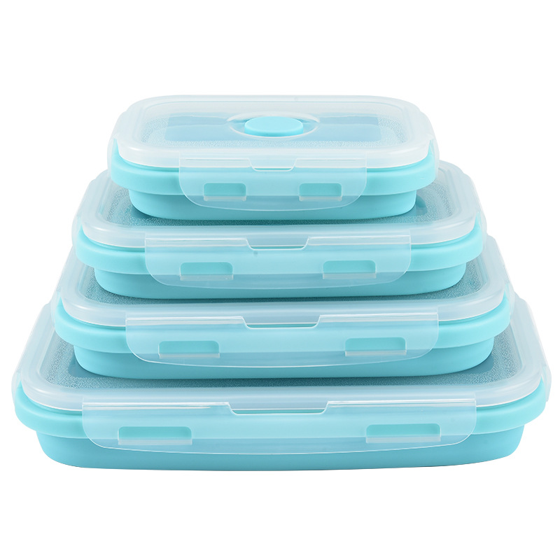 Contenitore per Alimenti in Si - Food Storage Safe recensione e prezzo