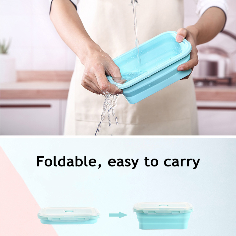 Contenitore per Alimenti in Si - Food Storage Safe recensione e prezzo