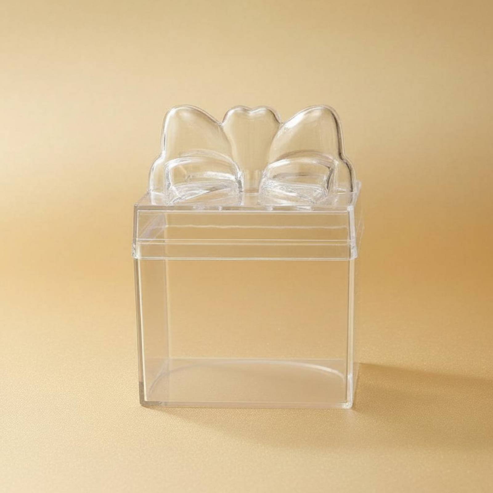 Scatola Trasparente in Plastic - Food Storage Box recensione e prezzo