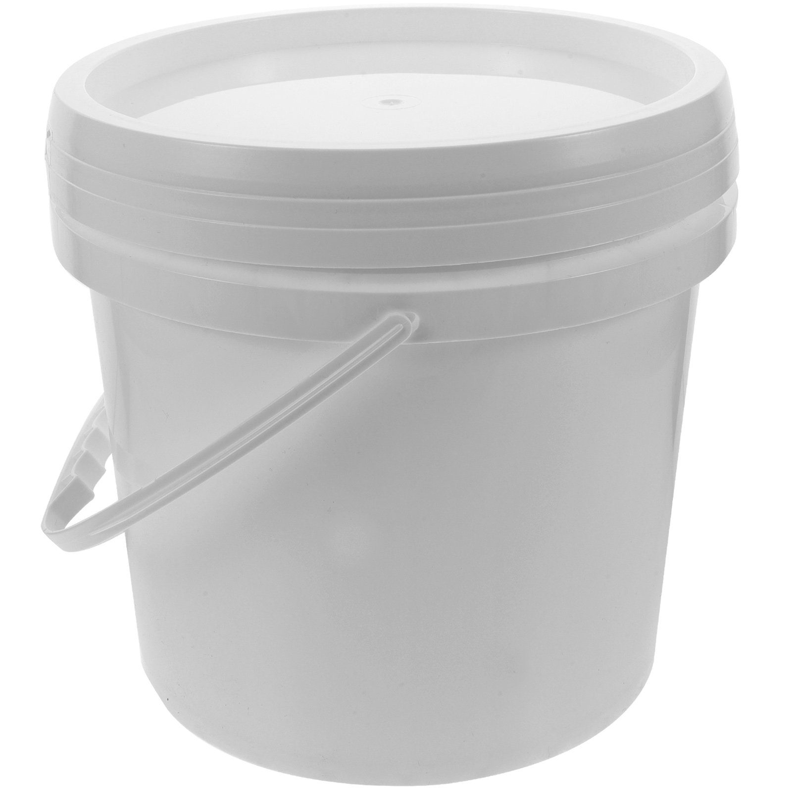Secchio per Vernice in Plastic - Food Storage Safe recensione e prezzo